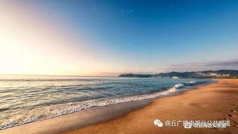 海南赶海爆料网站官网最新,最新爆料网站官网独家解读