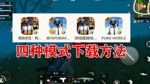 pubg国际服体验服最新爆料,最新Pubg国际服体验服爆料，全新内容即将上线！