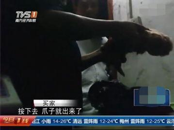 屠宰最新爆料视频大全集,屠宰行业内幕大揭秘视频全集深度解析