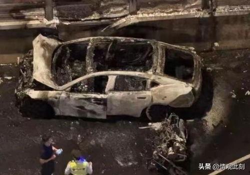 所有车辆最新车型爆料油车,科技与环保的完美融合